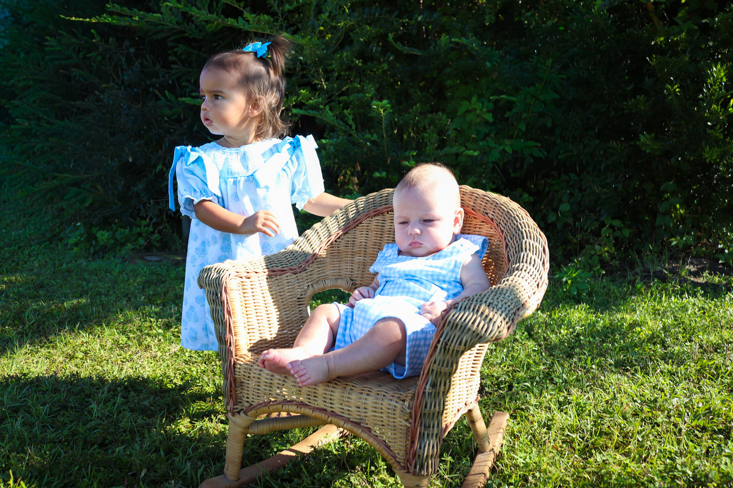 Hydrangea Blooms Dress